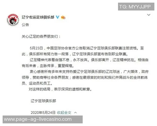 全面解析足球教练证等级及其对职业发展的影响与重要性