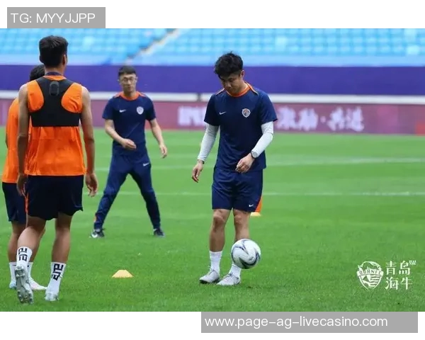 中乙足球直播精彩瞬间回顾与赛季前瞻分析让我们一起见证足球魅力